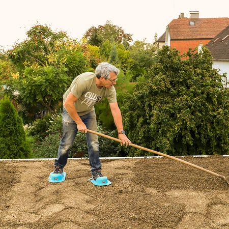 Dachbegrünung