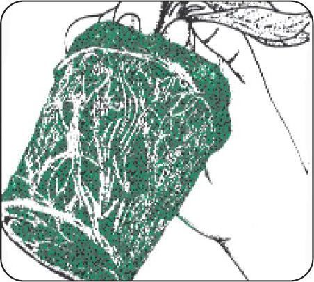 Anwendungsübersicht - Agroperl® G